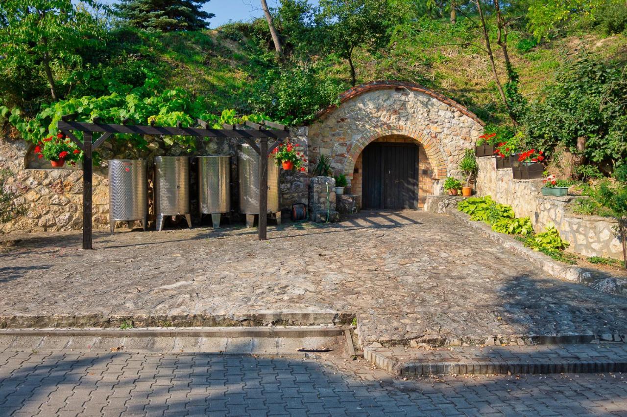 Hotel Szel Fiai Fogado Nyúl Exterior foto